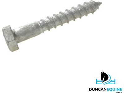 12mm Galvanised Coach Screws