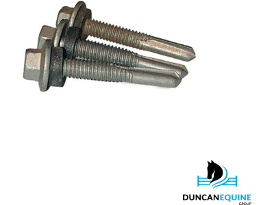 Galvanised Tek Screw