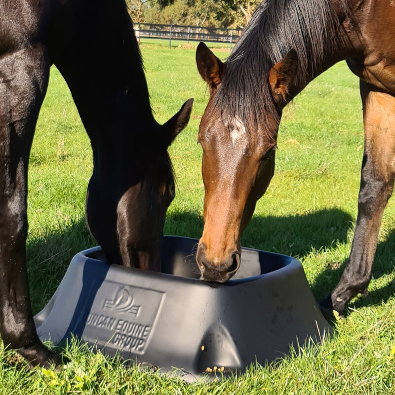 Paddock Feeder - Image 2