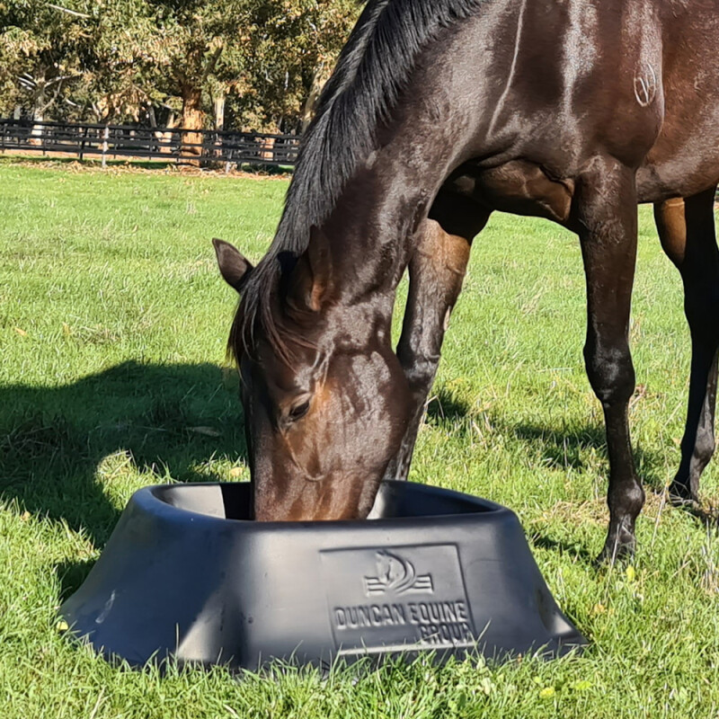 Mare happy with her Equine Feed Bin