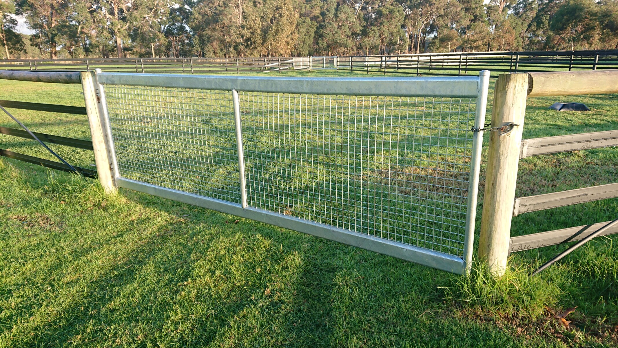 horse safe gates