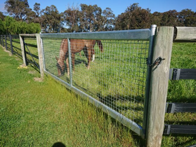 8T3DnRtw horse safe gates