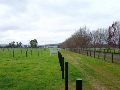 Line of horse fencing posts installed by a contractor Post Layout with minimal grass