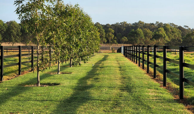 fencing-considerations