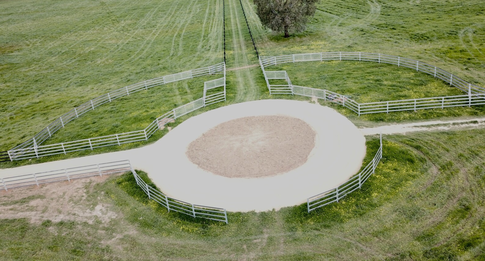 thoroughbred-holding-pen-2